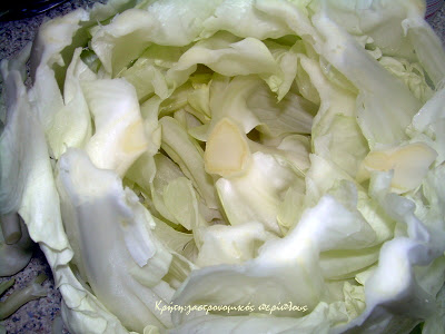 Νηστίσιμοι λαχανοντολμάδες με σάλτσα λεμονιού